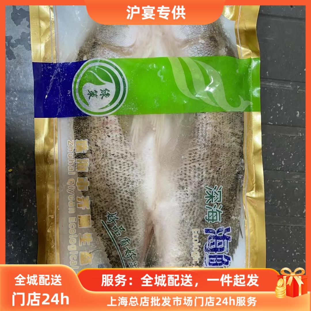首单直降加新工鲜海活鲈冻背鱼鲈用鱼规格开烤全鱼鱼纸包冰鱼酒店