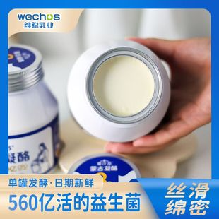 赛汗苏蒙古凝酪560g*1/2罐凝固型风味发酵乳营养家庭装低温