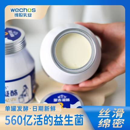 赛汗苏蒙古凝酪560g*1/2罐凝固型风味发酵乳营养家庭装低温