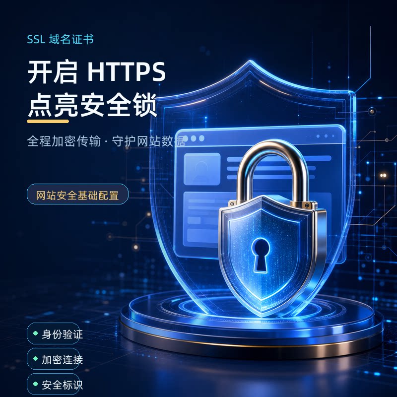 企业级SSL证书办理https安全锁身份验证加密连接网站防护