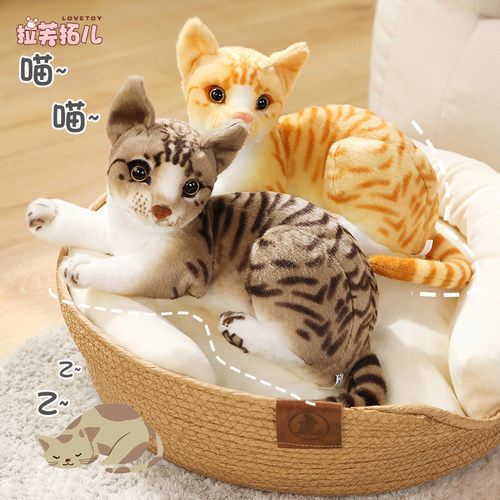 舒适PP棉仿真猫猫小猫咪公仔玩偶