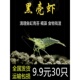 黑壳虾套餐水族箱除藻虾观赏虾清洁虾工具虾草缸鱼缸造景活体饲料