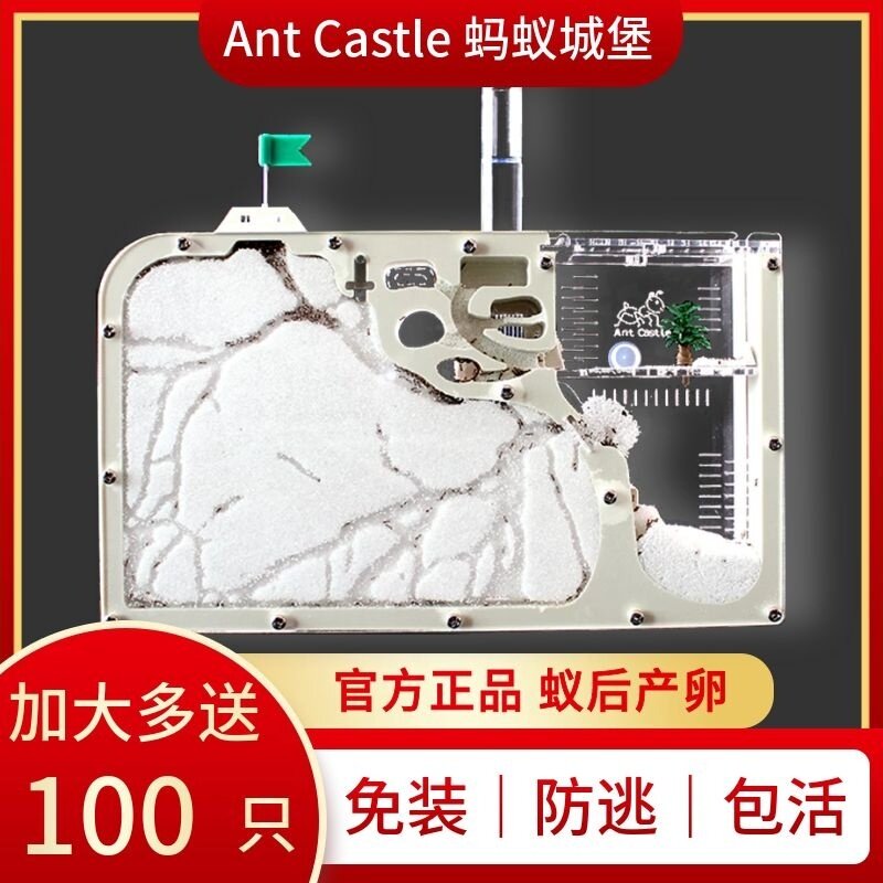 蚂蚁城堡系列套餐正品工坊蚁巢生态屋箱盒送蚁后繁殖蚂蚁部王国