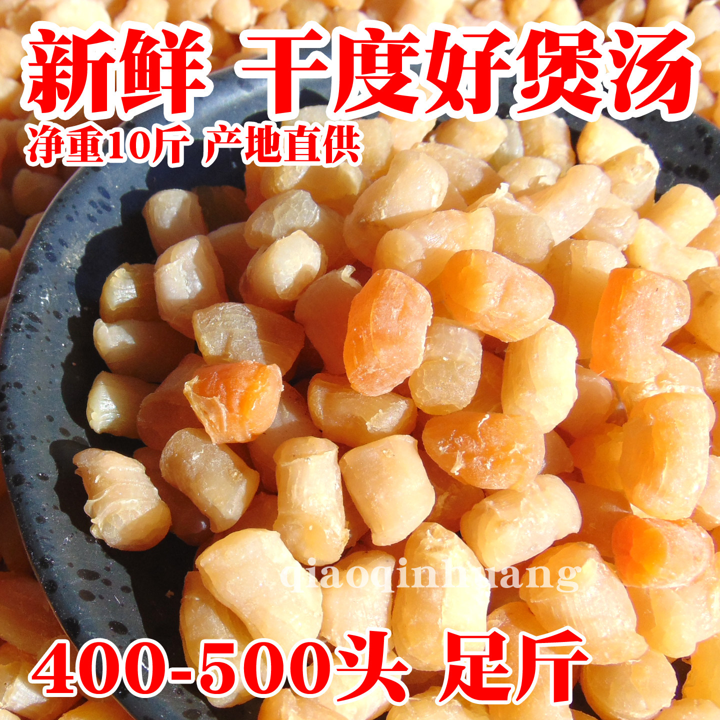净重10斤干贝瑶柱新鲜400-500头商用粥店汤馆产地直供海产品