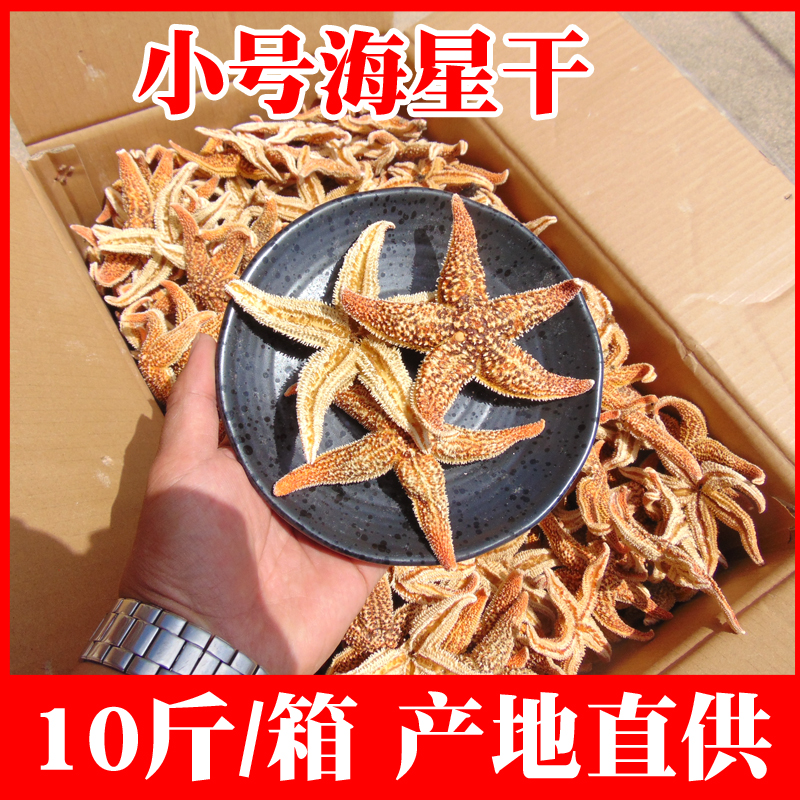 小号海星干五角海盘车海鲜干货