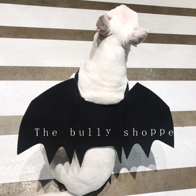 宠物蝙蝠翅膀猫咪服饰法斗变身装