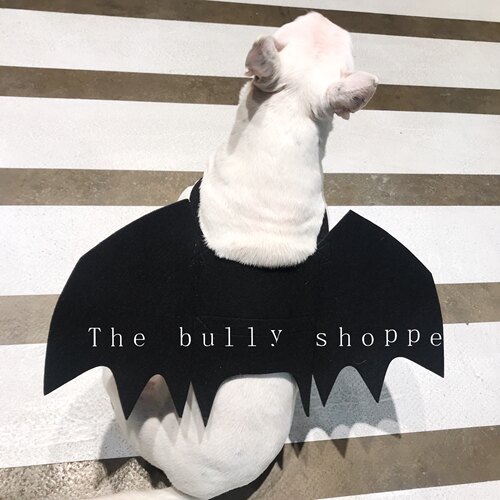 宠物蝙蝠翅膀猫咪服饰法斗变身装