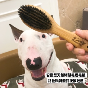 Petiy猪鬃毛宠物梳子毛刷狗狗安慰型梳子天然猪鬃毛刷去死皮亮毛