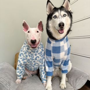 暖呼呼4色奥绒宠物秋冬护肘服牛头梗拉布拉多恶霸哈士齐边牧