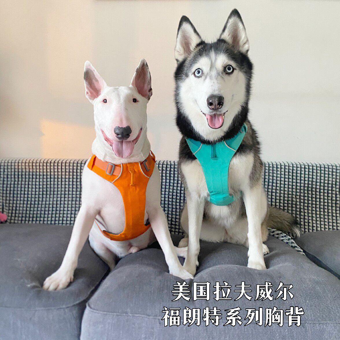 美国拉夫威尔福朗特胸背Ruffwear拉夫狗狗牵引防爆项圈RW