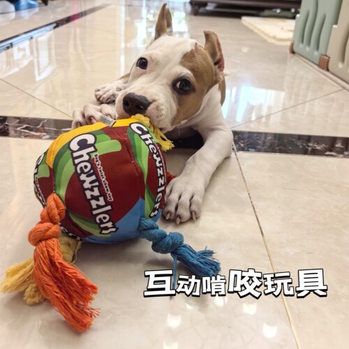 棉绳帆布发声宠物玩具