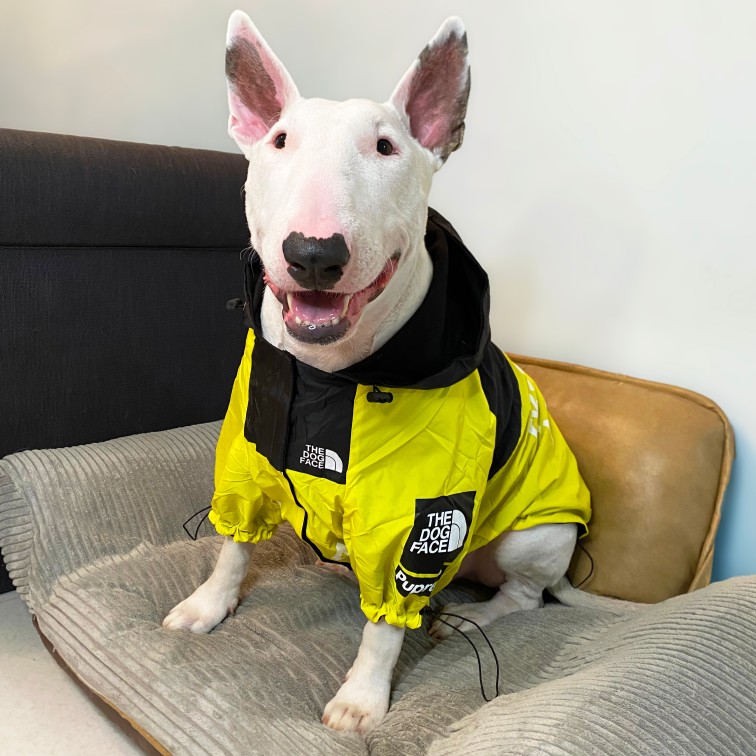 宠物潮牌狗狗冲锋衣防风防雨薄款加棉款冲锋衣 牛头梗法斗拉布拉