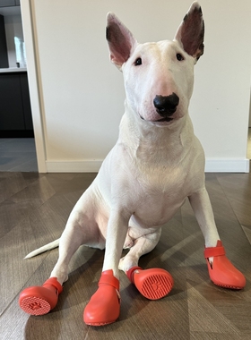 ins同款狗狗鞋子硅胶雨靴宠物不掉防脚套可爱小型大型犬防脏好清