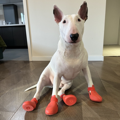 可爱雨靴硅胶狗狗鞋子防脏