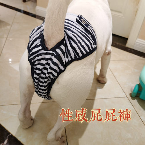 性感的小屁屁宠物条纹生理裤狗狗月经裤防骚扰