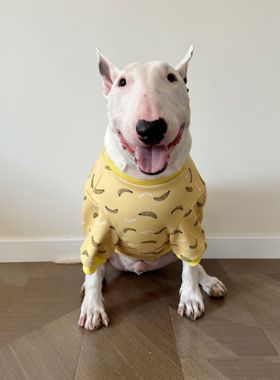 黄色香蕉加厚秋冬卫衣宠物大狗衣服牛头梗恶霸英斗拉布拉多服饰