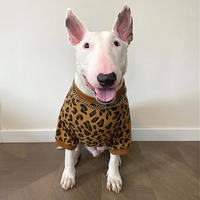 一只性感的小豹子莱卡棉薄款T恤