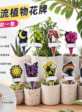 原创植物生长元素风格嘻哈风植物花牌多肉插牌龙舌兰块根植物标牌