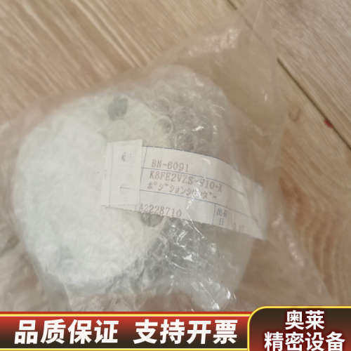 BN-6091  K8FE2VZS-W10-X 供油单 D.询价