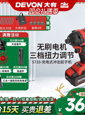 大有20V充电式冲击起子机螺丝批螺丝锂电钻5733-Li-20H风批电改锥