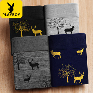 花花公子男士 头全棉四角短裤 内裤 纯棉透气男生平角裤 2025新款 正品