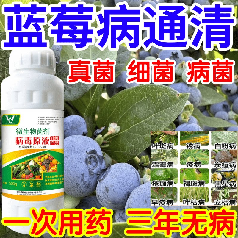 蓝莓病通清黑星病立枯病疫病锈病果树蔬菜花卉生根壮苗增产杀菌剂