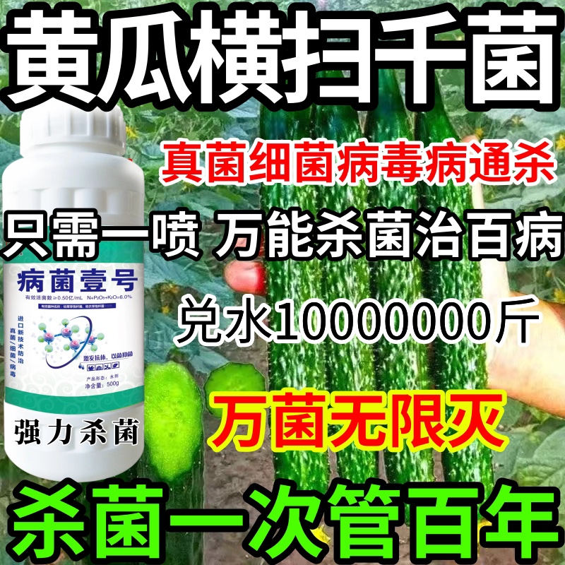 黄瓜横扫千菌真菌细菌病毒通用果树蔬炭疽病叶斑病白粉病病毒