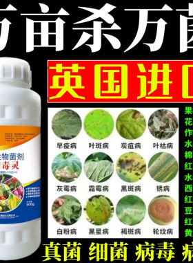 万亩杀万菌毒灵果树蔬菜花卉杀菌剂锈病炭疽病叶斑病霜霉病叶斑病