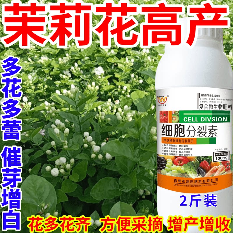 茉莉花高产细胞分裂素爆芽正品保花保果膨果因卡波叶面肥农用通用
