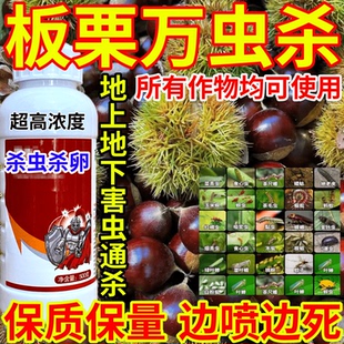 板栗万虫杀品农药蚜虫蓟马腻虫跳甲蚧壳虫果树蔬菜花卉通用杀虫剂