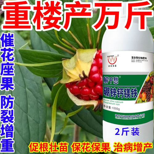 重楼产万斤钙镁硼锌铁绿叶靓果膨果多果美果提质丰产促花促果作物