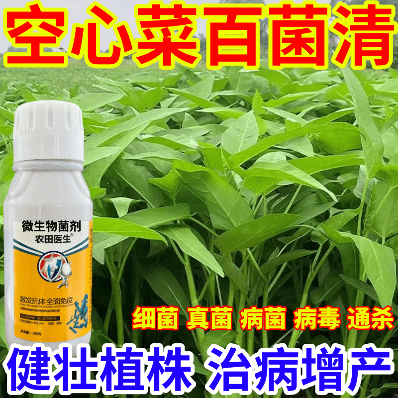 空心菜百菌清毒菌病微生物菌剂农田医生果树蔬菜花卉霜霉病炭疽病