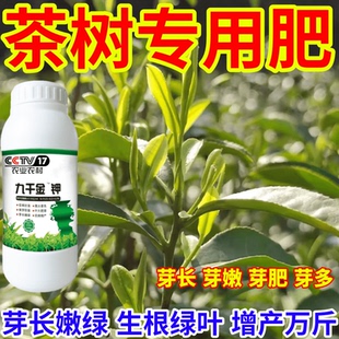 茶树专用肥壮芽素专用叶面肥茶树多芽嫩芽催芽芽采不尽专用肥正品