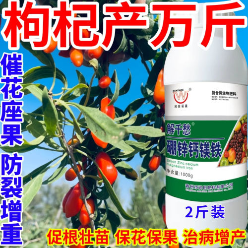 枸杞产万斤钙镁硼锌铁绿叶靓果膨果多果美果提质丰产促花促果作物