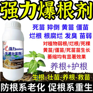 强力爆根剂强力生根养根护生根原液快速生根剂正品强力养根发根剂