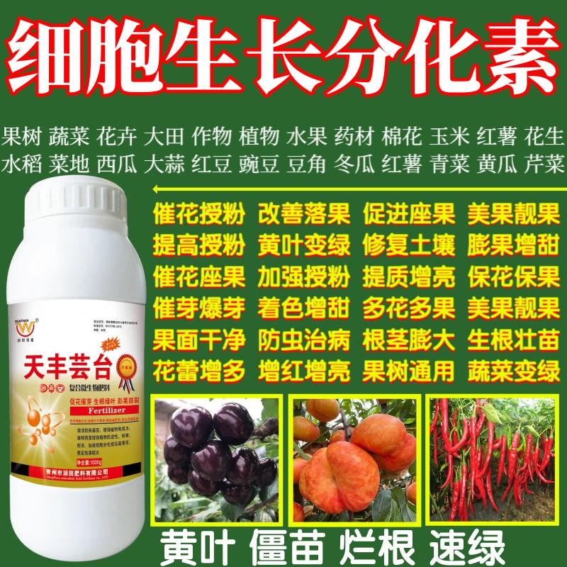 细胞生长分化素座果提高座果率保花保果增产增收植物蔬菜叶面肥料