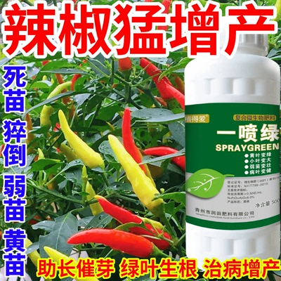 辣椒猛增产叶变绿叶蔬菜花卉果树死苗通用烂根黄叶专用叶面肥料