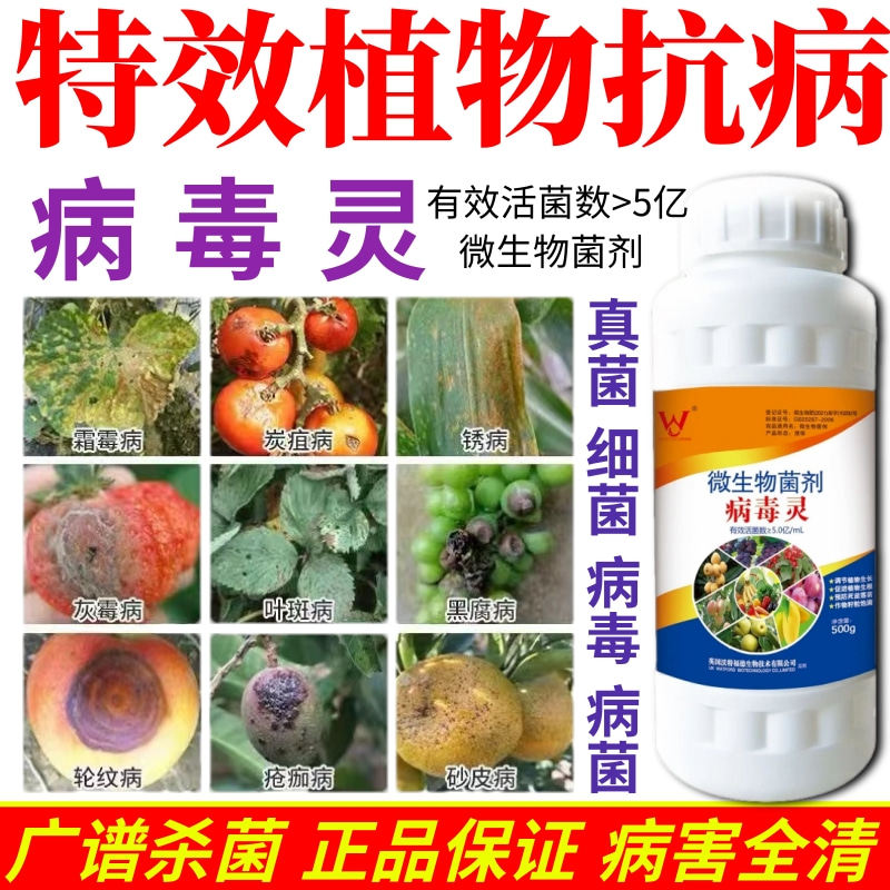 特效植物抗病菌剂预防白粉病灰霉病稻瘟病锈病等真菌细菌病害防治