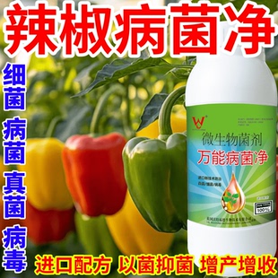 辣椒病菌净蔬菜花卉稻瘟病病毒白粉病灰霉病锈病病害清一喷清