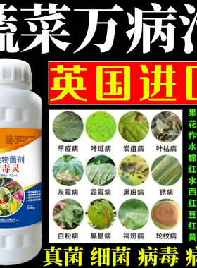 蔬菜万病治毒灵果树蔬菜花卉杀菌剂锈病炭疽病叶斑病霜霉病叶斑病