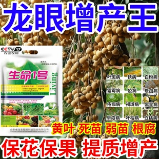 龙眼增产王黄叶死苗僵苗烂根猝倒果树蔬菜花卉水溶叶面肥有机肥料
