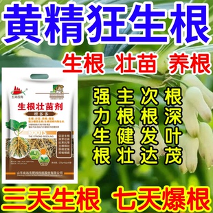 黄精狂生根根深叶茂主根健株次根发达果树蔬菜花卉爆根生根壮苗剂