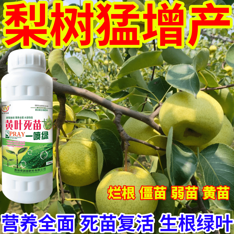 梨树猛增产产绿正品蔬菜瓜果果树水溶专用微量元素快速绿色叶面肥