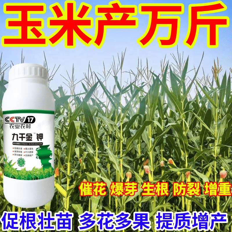 玉米产万斤抗寒抗冻保花保果九千金钾催产爆芽增收叶面肥绿叶生根