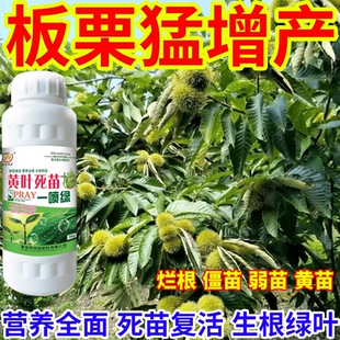 板栗猛增产绿正品蔬菜瓜果果树水溶专用微量元素快速绿色叶面肥