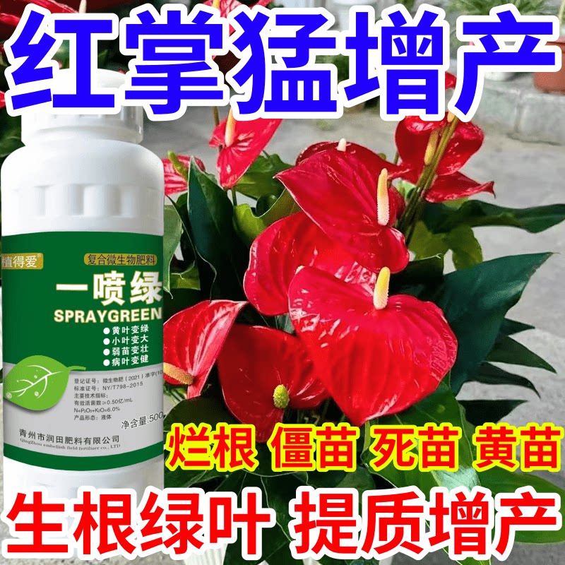 红掌猛增产果树蔬菜花卉通用一喷绿烂根僵苗复活液生根绿叶叶面肥