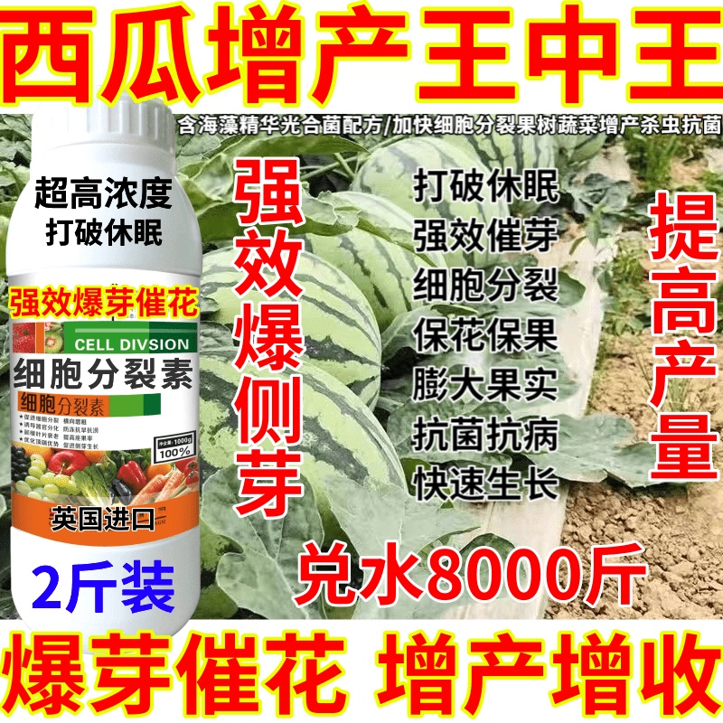 西瓜增产王中王细胞分裂素蔬菜果树花植物茉莉茶树强效爆芽增产