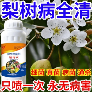 梨树病全清菌速效万能病菌净微生物菌剂肥料专治所有病菌作物通用