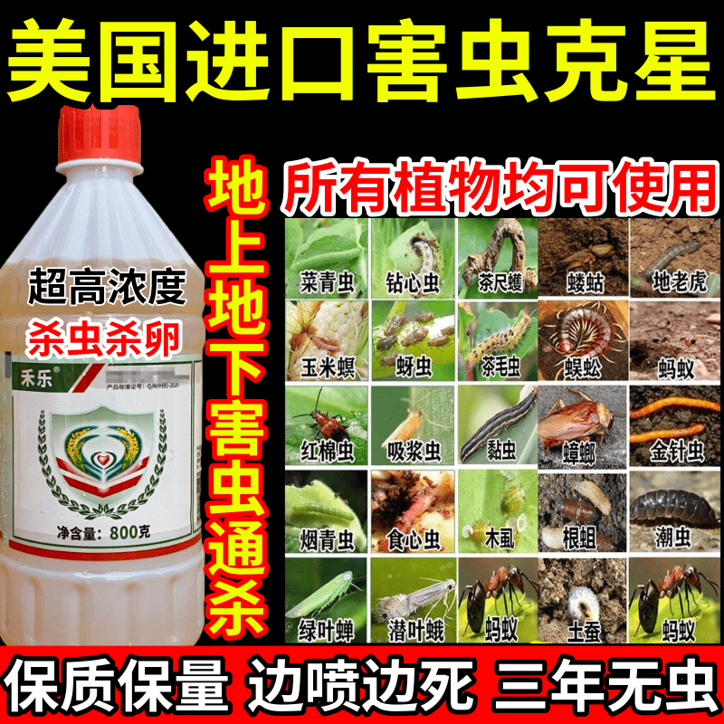 美国进口害虫克星蛛地蛆虫食心虫果树蔬菜花卉杀虫杀卵农药杀虫剂