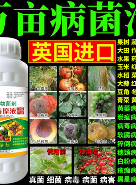 万亩病菌清万能杀菌剂预防白粉病灰霉病稻瘟病锈病等真菌细菌病害